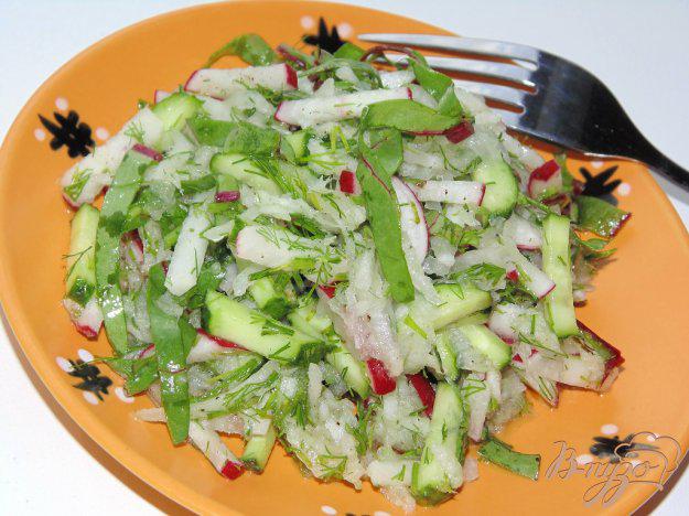 фото рецепта: Салат из редиса и белой редьки с мангольдом и огурцом