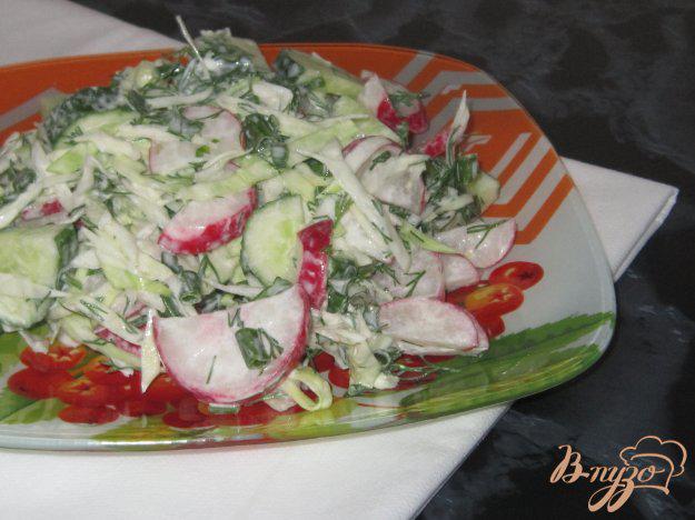фото рецепта: Салат «Весенний» со сметаной
