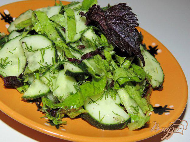 фото рецепта: Салат из огурцов с базиликом