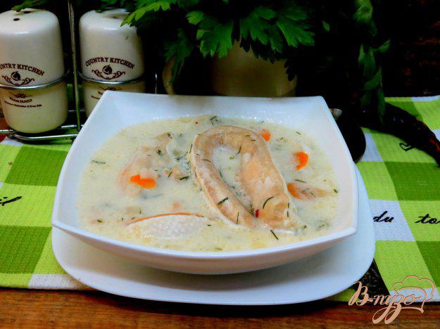 фото рецепта: Суп из брюшек лосося и сырков