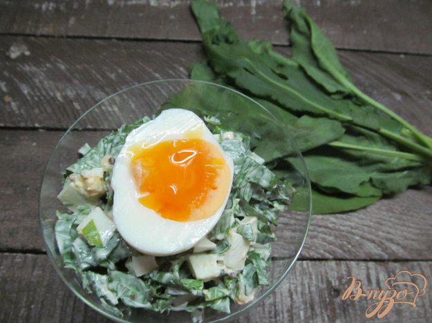 фото рецепта: Салат из щавеля с яйцом