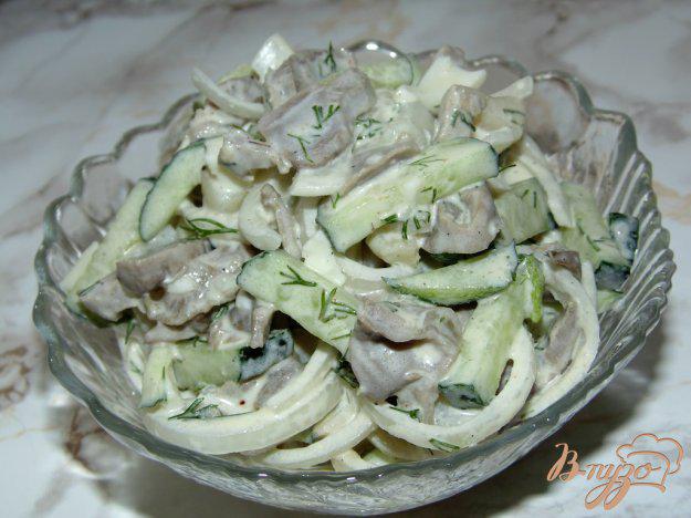 фото рецепта: Картофельный салат с куриными желудками