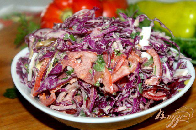 фото рецепта: Салат из краснокочанной капусты с овощами