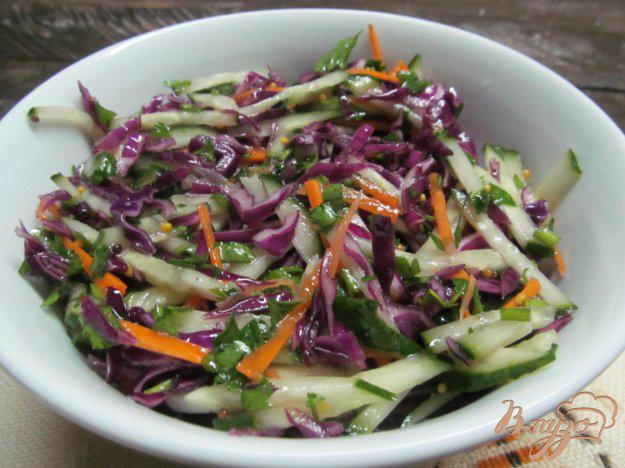 фото рецепта: Салат из красной капусты