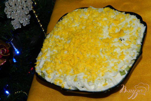 фото рецепта: Слоеный салат с сёмгой и кукурузой
