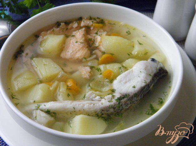фото рецепта: Суп из лосося и толстолобика