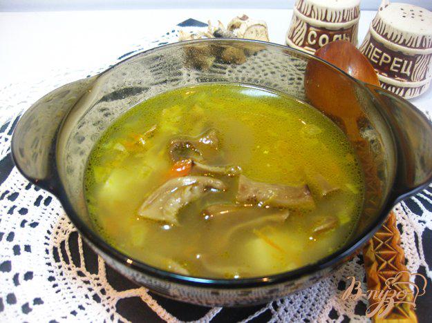 фото рецепта: Суп с сушеными грибами