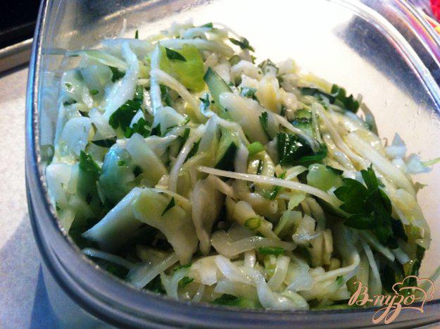 фото рецепта: Салат из свежей капусты с огурцом и петрушкой.