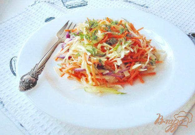 фото рецепта: Салат  с морковью, огурцом и капустой