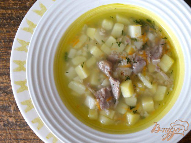 фото рецепта: Суп с индейкой и овсянкой