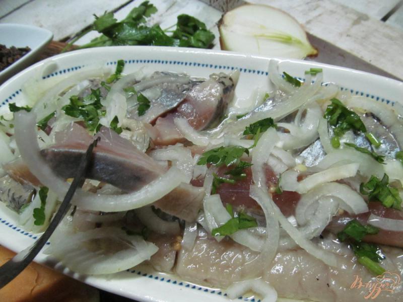 Селедка с луком быстрый рецепт. Сельдь в маринаде. Селёдка с уксусом и луком. Сельдь с луком и уксусом. Маринованная селедка.