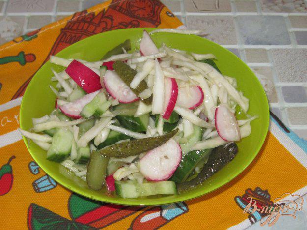 фото рецепта: Овощной салат с капустой, редисом и корнишонами