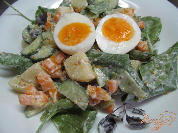 фото рецепта: Картофельный салат с огурцом и яйцом