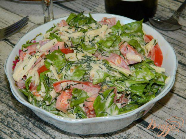 фото рецепта: Салат с помидорами, яблоком и зеленью