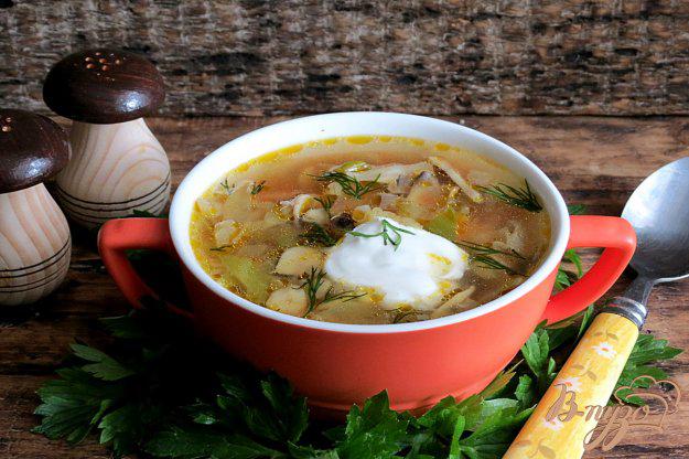 фото рецепта: Томатный суп с грибами и капустой