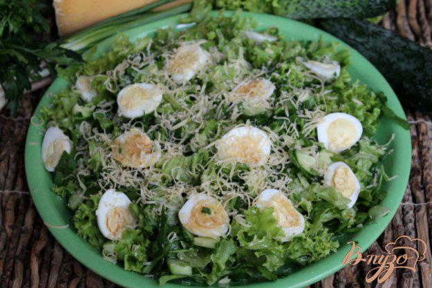 фото рецепта: Зеленый салат с перепелиными яйцами и йогуртом