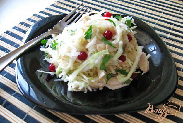 фото рецепта: Салат из капусты с фруктами и отварной курицей
