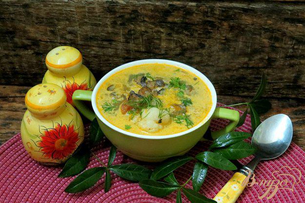 фото рецепта: Овощной суп с цветной капустой сметаной и грибами