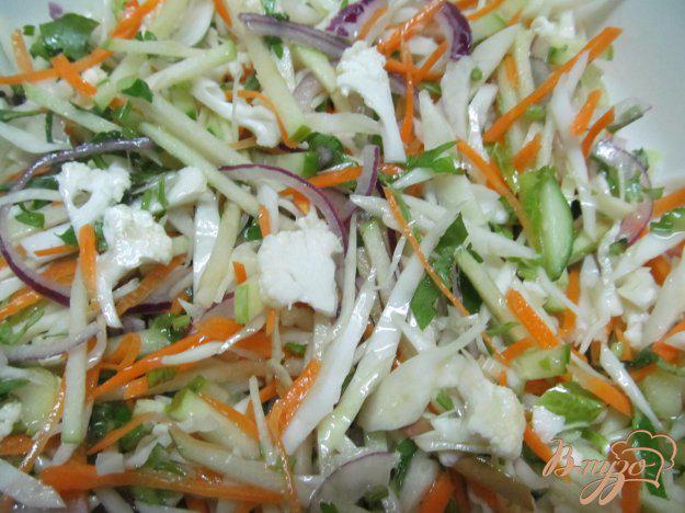 фото рецепта: Зимний салат из двух видом капусты