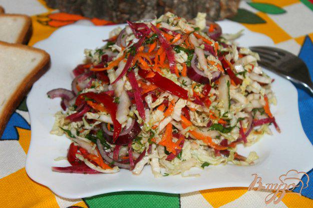 фото рецепта: Салат из пекинской капусты с салатной редькой и морковью