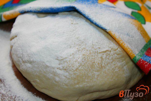 фото рецепта: Тесто для печеных пирожков