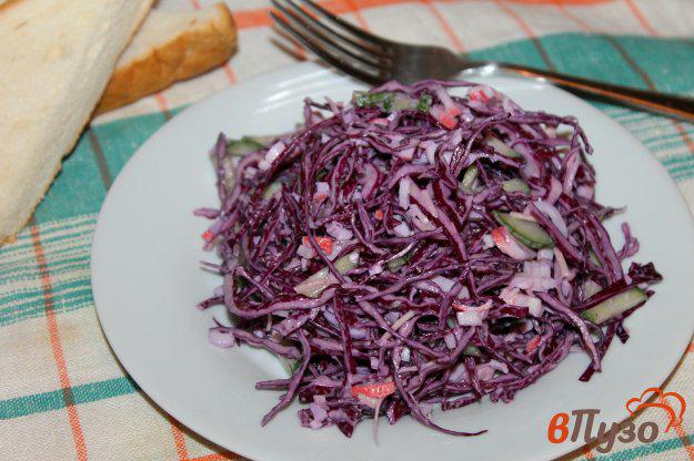 фото рецепта: Салат из краснокочанной капусты с крабовыми палочками и сыром