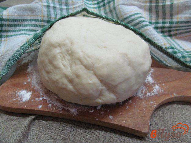 фото рецепта: Тесто для беляшей на кефире с содой
