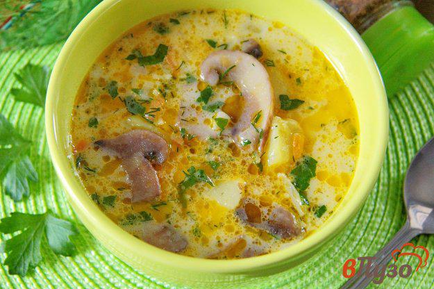 фото рецепта: Сырный суп с грибами и вермишелью