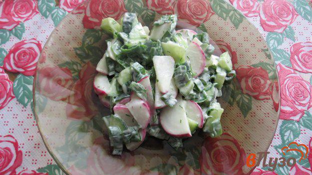фото рецепта: Салат с редисом и огурцами