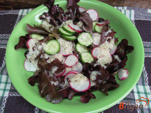 фото рецепта: Хрустящий салат под соусом их хрена