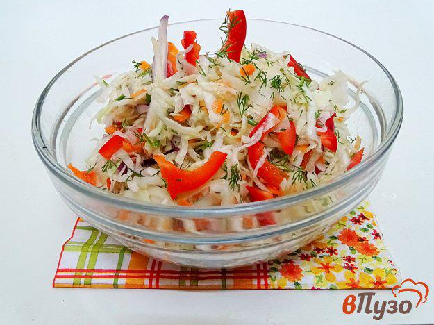 фото рецепта: Салат из капусты с перцем, луком и морковью