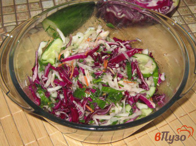 фото рецепта: Салат из квашеной и краснокочанной капусты