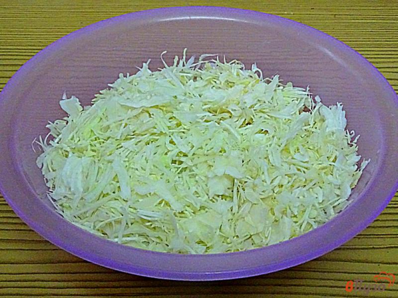 Как приготовить постную капусту. Как приготовить постную капусту