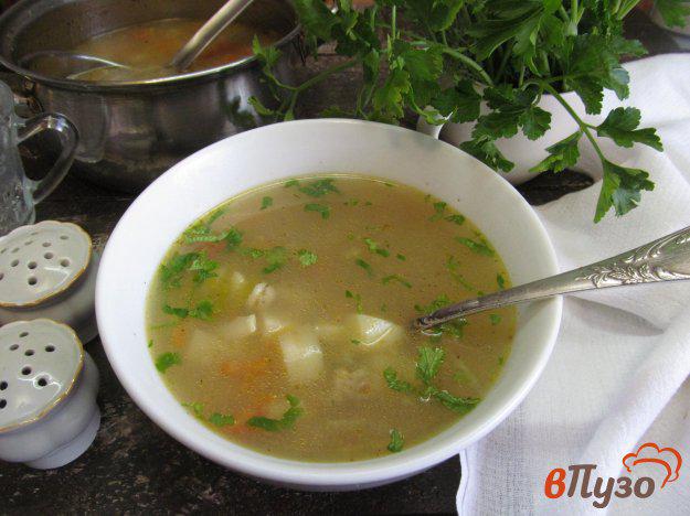 фото рецепта: Суп из сельдерея с овсянкой