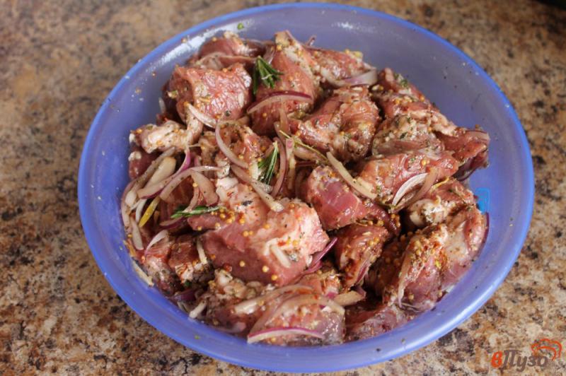 Маринование шашлыка из свинины в домашних условиях рецепт классический пошаговый рецепт с фото