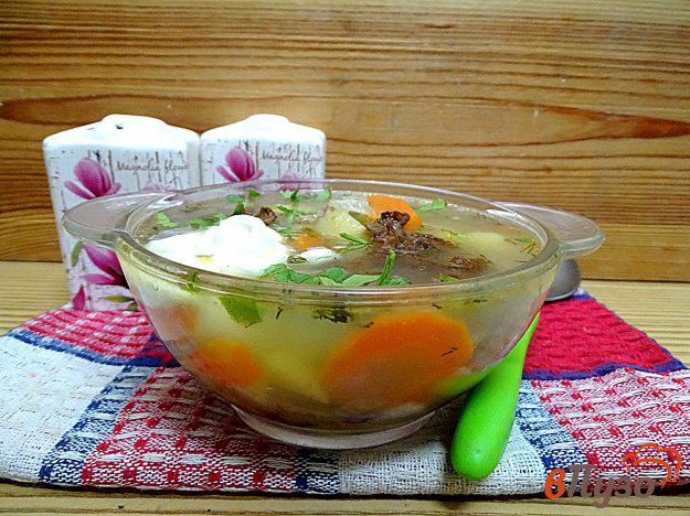 фото рецепта: Суп из замороженых лесных грибов