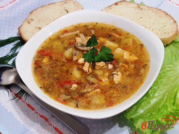 фото рецепта: Суп-рагу с курицей и грибами