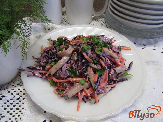 фото рецепта: Салат из краснокочанной капусты с морковью по-корейски