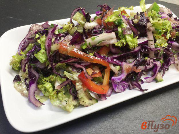 фото рецепта: Салат из капусты с листьями салата и болгарским перцем