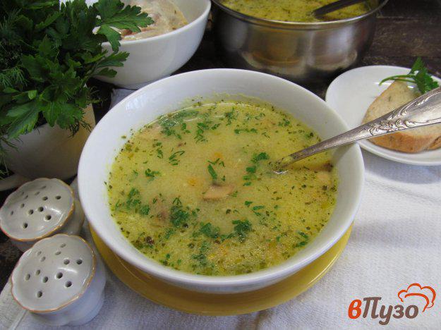 фото рецепта: Сырный суп с грибами и манной крупой