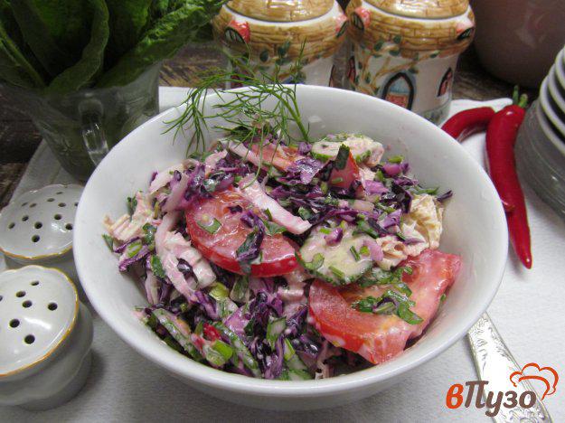 фото рецепта: Салат из красной капусты с курицей и помидором