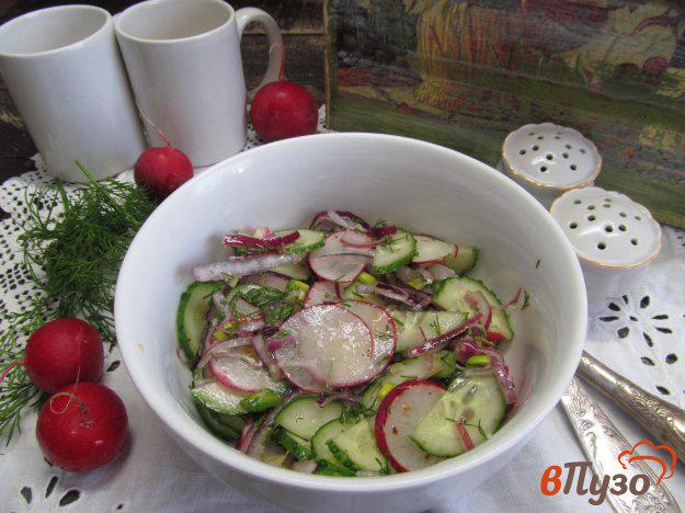 фото рецепта: Салат из редиса с маринованным луком