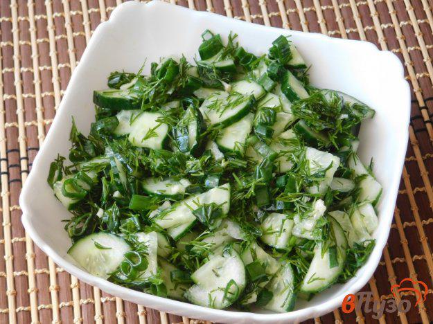 фото рецепта: Салат из огурцов с зеленью