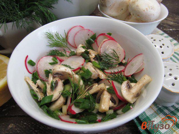 фото рецепта: Салат из шампиньона с редисом