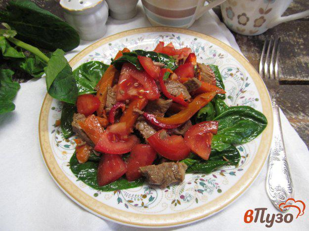 фото рецепта: Мясной салат со шпинатом и болгарским перцем