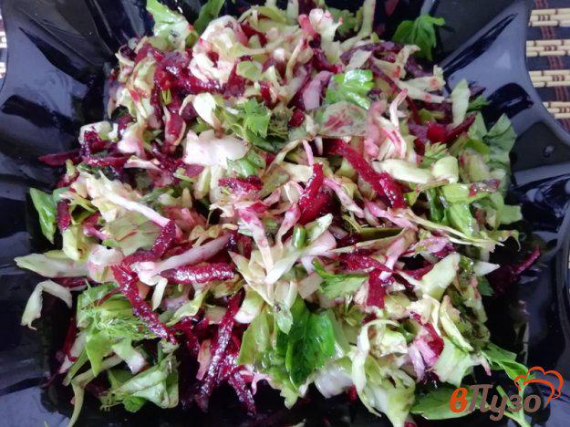 фото рецепта: Салат из молодых овощей с зеленью и заправкой из гранатового соуса