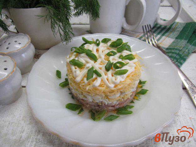 фото рецепта: Салат из консервированного лосося с яйцом и сыром