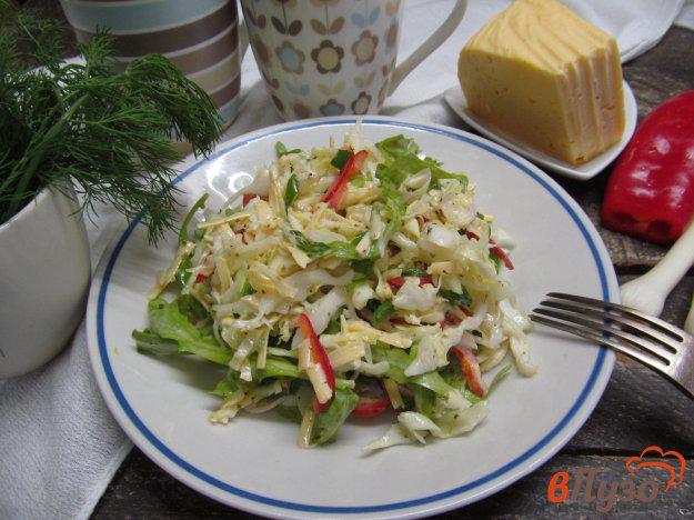 фото рецепта: Салат из молодой капусты с рукколой и перцем