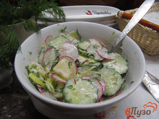фото рецепта: «Весенний» салат из картофеля с огурцом и редисом