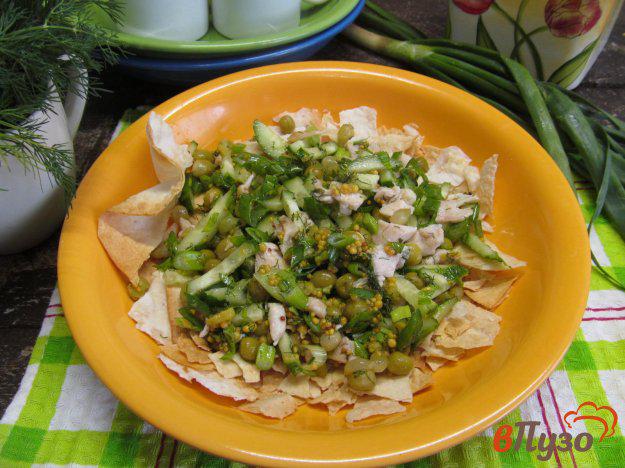 фото рецепта: Огуречный салат с курицей и чипсами из лаваша